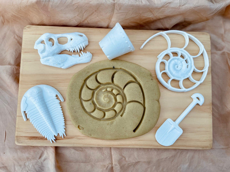BEADIE BUG PLAY | T - REX BIO SKULL FOSSIL by BEADIE BUG PLAY - The Playful Collective