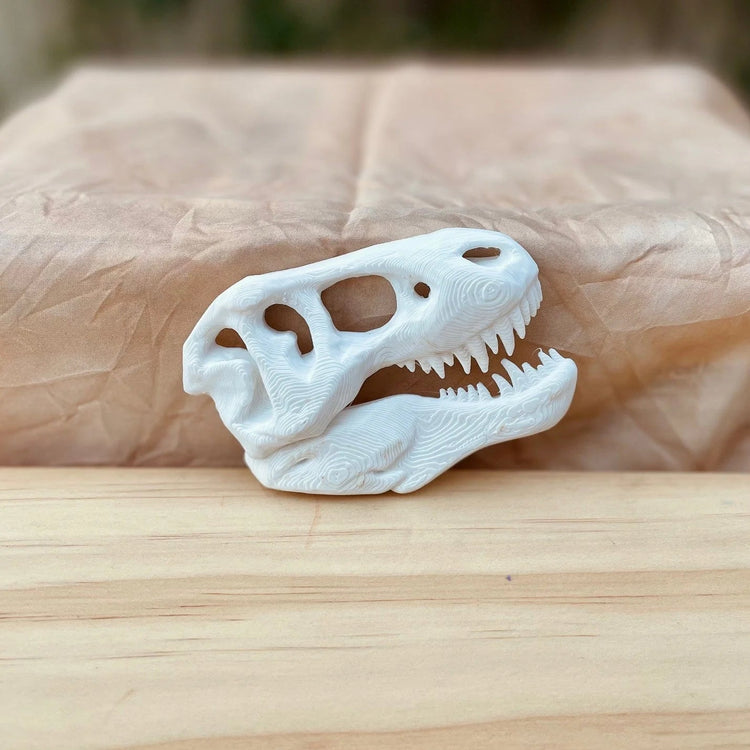 BEADIE BUG PLAY | T - REX BIO SKULL FOSSIL by BEADIE BUG PLAY - The Playful Collective