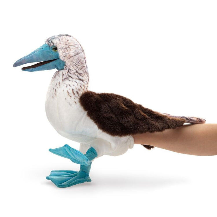 FOLKMANIS PUPPETS | BLUE FOOTED BOOBY PUPPET by FOLKMANIS PUPPETS - The Playful Collective
