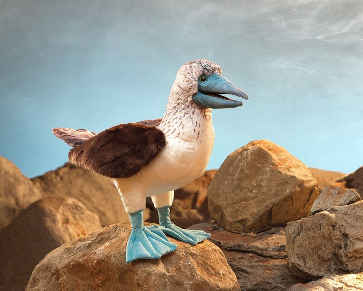 FOLKMANIS PUPPETS | BLUE FOOTED BOOBY PUPPET by FOLKMANIS PUPPETS - The Playful Collective