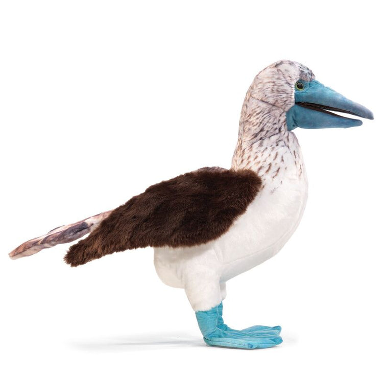 FOLKMANIS PUPPETS | BLUE FOOTED BOOBY PUPPET by FOLKMANIS PUPPETS - The Playful Collective