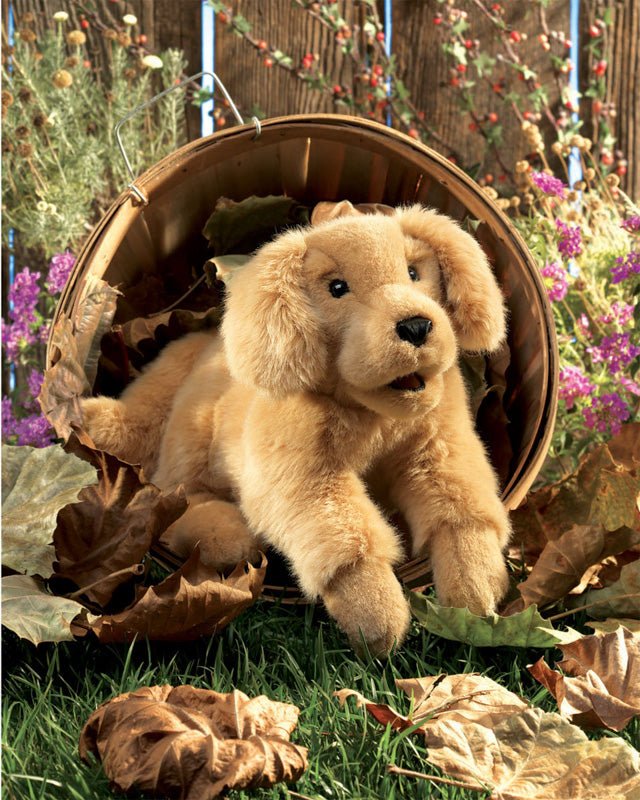 FOLKMANIS PUPPETS | GOLDEN RETRIEVER PUPPY PUPPET by FOLKMANIS PUPPETS - The Playful Collective