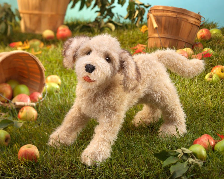 FOLKMANIS PUPPETS | LABRADOODLE PUPPET by FOLKMANIS PUPPETS - The Playful Collective