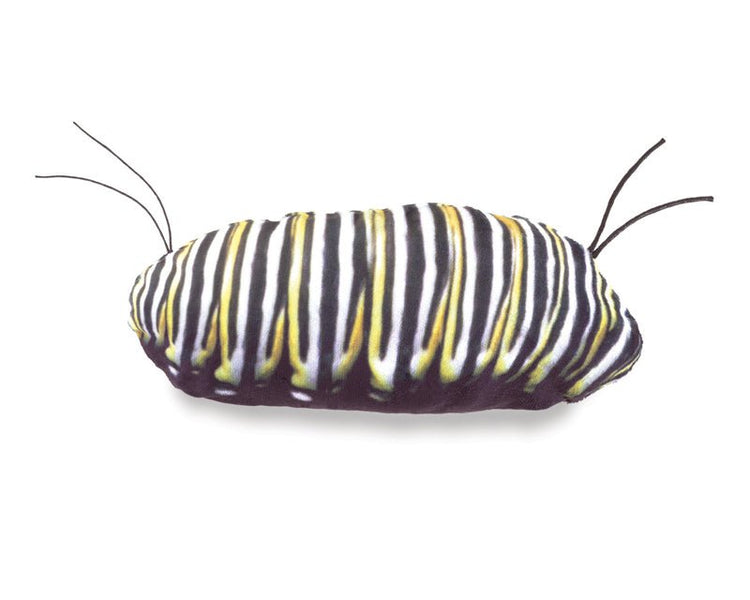 FOLKMANIS PUPPETS | MONARCH BUTTERFLY LIFE CYCLE PUPPET by FOLKMANIS PUPPETS - The Playful Collective