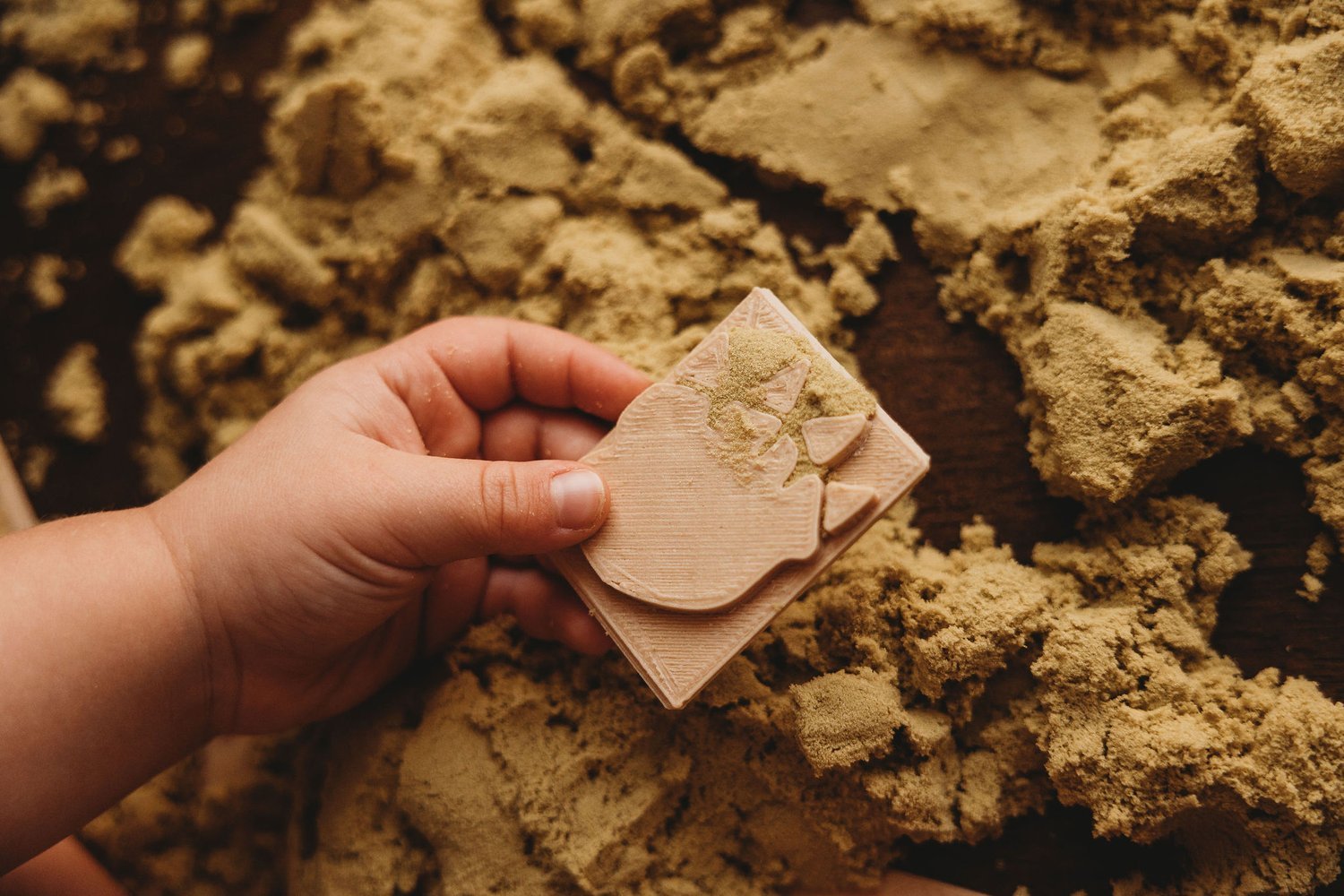 KINFOLK PANTRY | DINOSAUR FOOT PRINT ECO STAMP SET™ by KINFOLK PANTRY - The Playful Collective