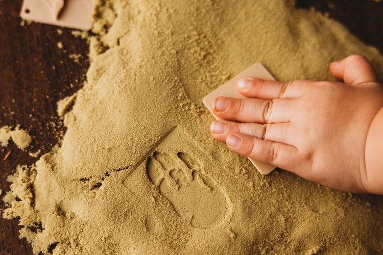 KINFOLK PANTRY | DINOSAUR FOOT PRINT ECO STAMP SET™ by KINFOLK PANTRY - The Playful Collective