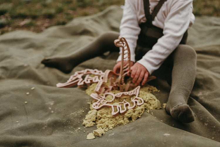 KINFOLK PANTRY | DIPLODUCUS DINO ECO CUTTER by KINFOLK PANTRY - The Playful Collective