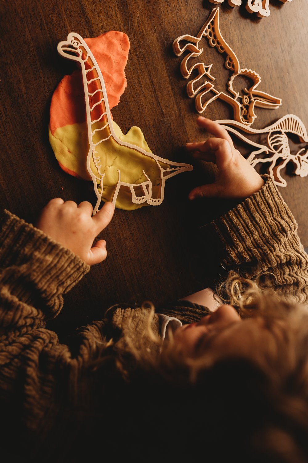 KINFOLK PANTRY | DIPLODUCUS DINO ECO CUTTER by KINFOLK PANTRY - The Playful Collective