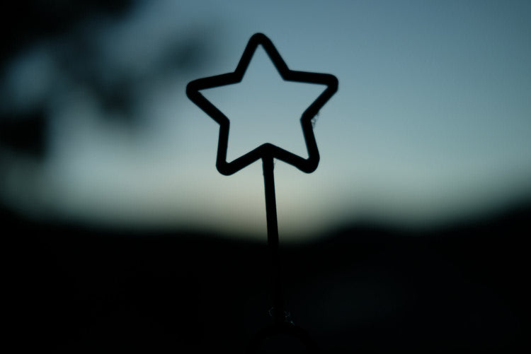 KINFOLK PANTRY | HALLOWEEN STAR ECO BUBBLE WAND *PRE - ORDER* by KINFOLK PANTRY - The Playful Collective