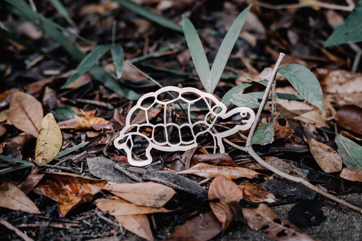 KINFOLK PANTRY | TORTOISE ECO CUTTER by KINFOLK PANTRY - The Playful Collective