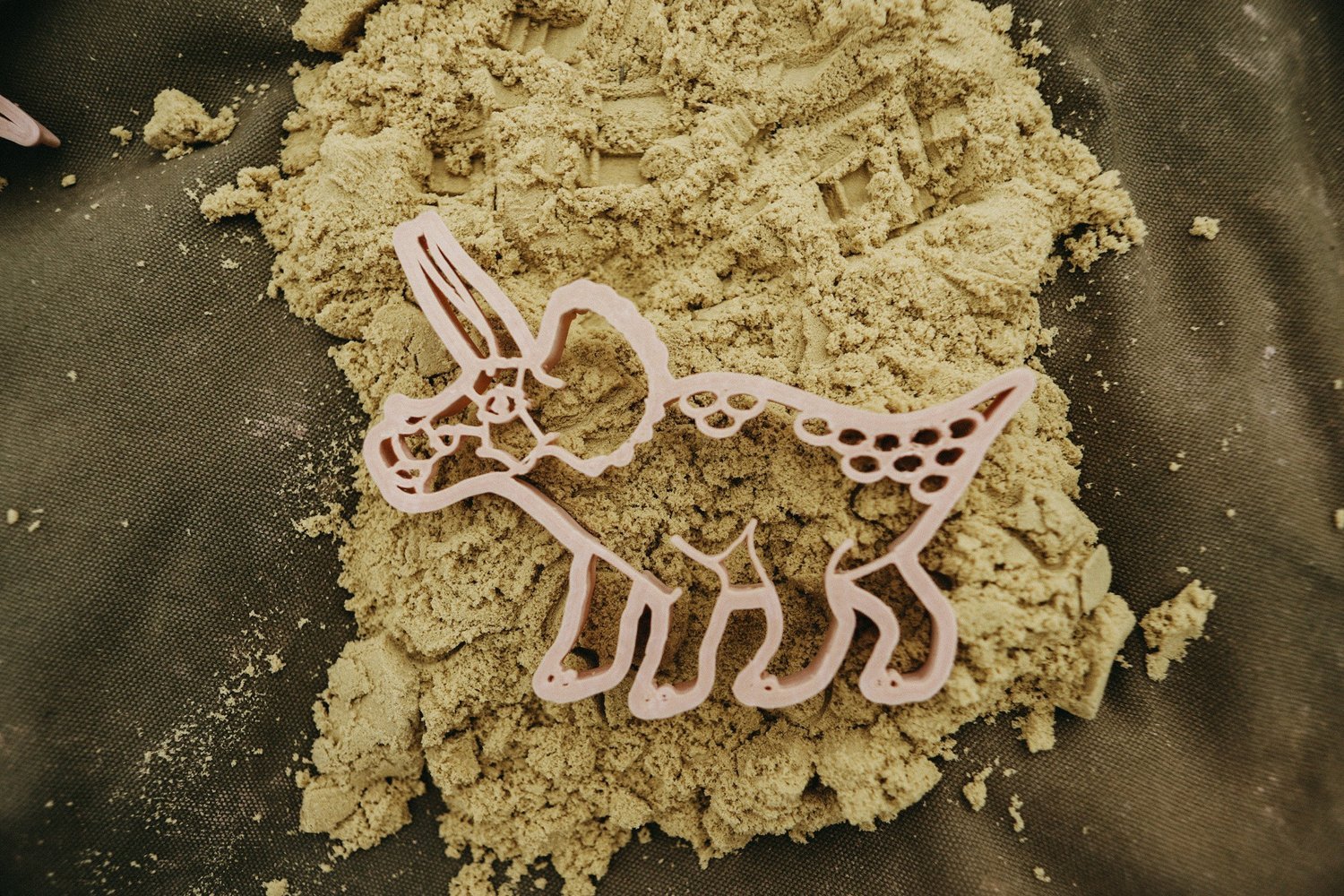 KINFOLK PANTRY | TRICERATOPS DINO ECO CUTTER by KINFOLK PANTRY - The Playful Collective