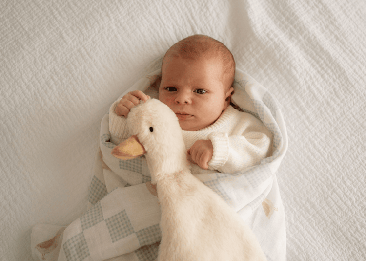 POP YA TOT | WADDLES THE GOOSE COMFORTER TOY by POP YA TOT - The Playful Collective
