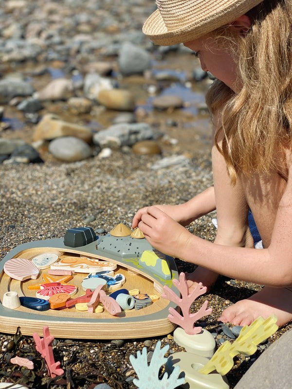 TENDER LEAF TOYS | MY LITTLE ROCKPOOL by TENDER LEAF TOYS - The Playful Collective