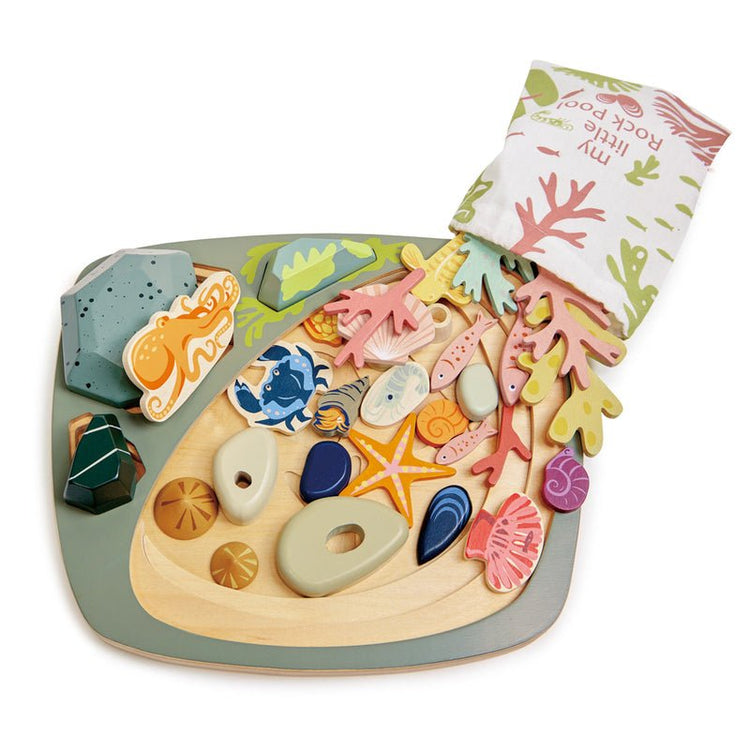 TENDER LEAF TOYS | MY LITTLE ROCKPOOL by TENDER LEAF TOYS - The Playful Collective