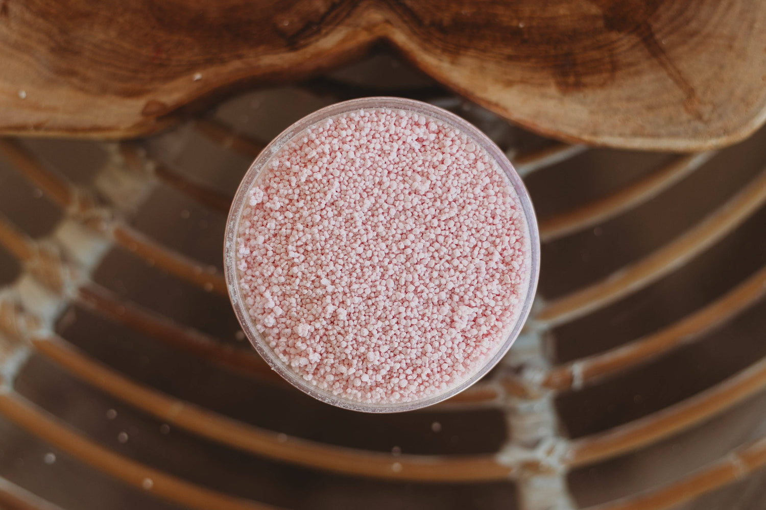 THE SALTWATER COLLECTIVE | JELLYFISH BLOOM - SALTWATER FIZZ 250G by THE SALTWATER COLLECTIVE - The Playful Collective