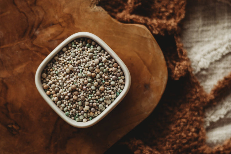 THE SALTWATER COLLECTIVE | MERMAID EGGS - SHIMMER DROPS POTION ADD - ON 40G by THE SALTWATER COLLECTIVE - The Playful Collective