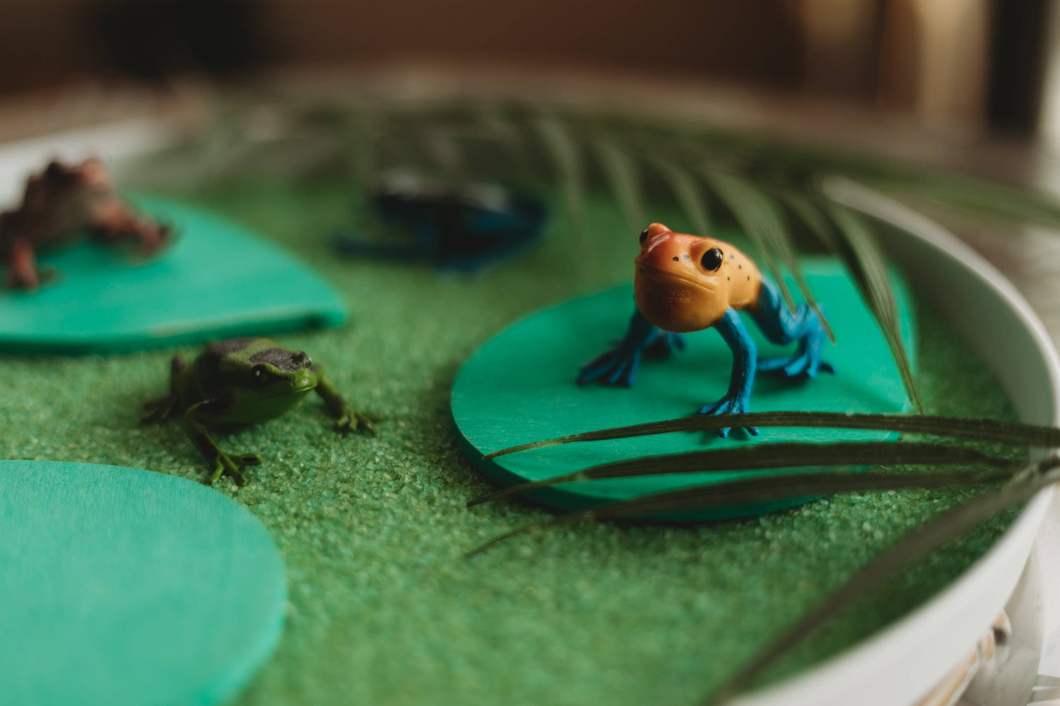 THE SALTWATER COLLECTIVE | SEA GRASS - SENSORY SALT by THE SALTWATER COLLECTIVE - The Playful Collective