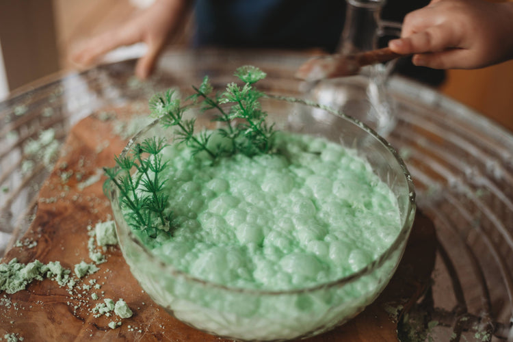 THE SALTWATER COLLECTIVE | SEAGRASS GREEN - FIZZY MOON SAND by THE SALTWATER COLLECTIVE - The Playful Collective