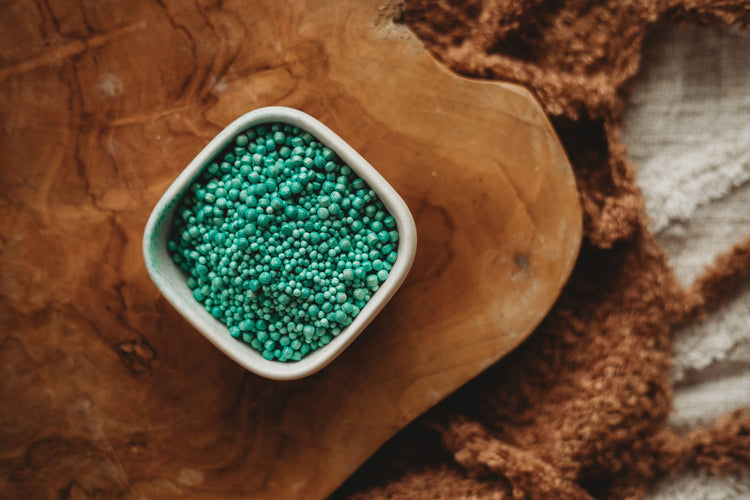 THE SALTWATER COLLECTIVE | TRANQUIL WATERS - SHIMMER DROPS POTION ADD - ON 40G by THE SALTWATER COLLECTIVE - The Playful Collective