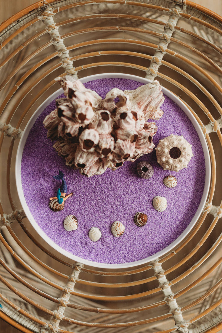 THE SALTWATER COLLECTIVE | URCHIN - SENSORY SALT by THE SALTWATER COLLECTIVE - The Playful Collective