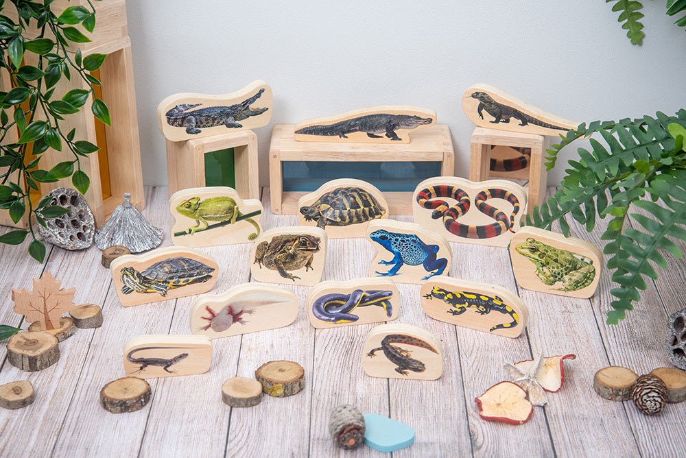 TICKIT | WOODEN REPTILE & AMPHIBIAN BLOCKS - 15PCS by TICKIT - The Playful Collective