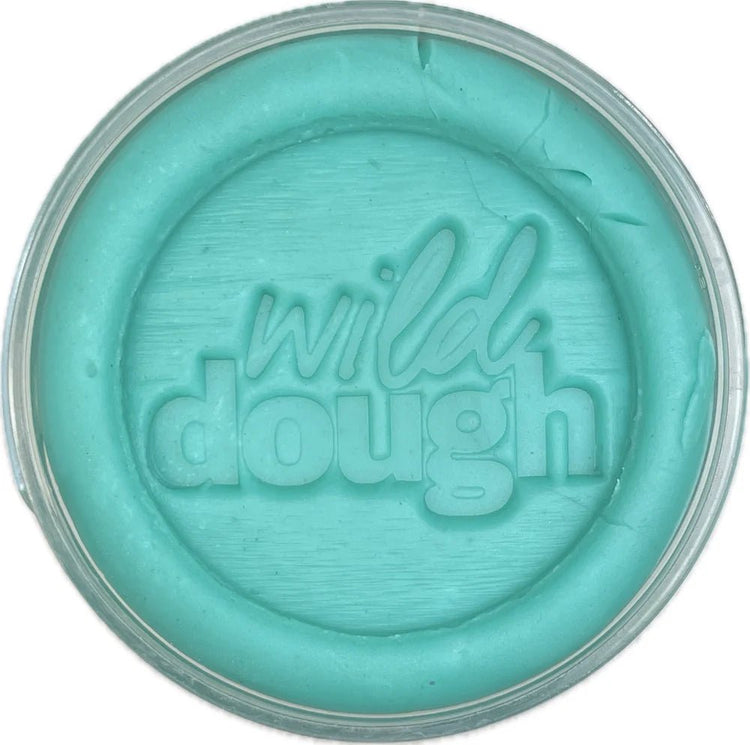 WILD DOUGH CO | SEA GLASS TEAL PLAYDOUGH by WILD DOUGH CO - The Playful Collective