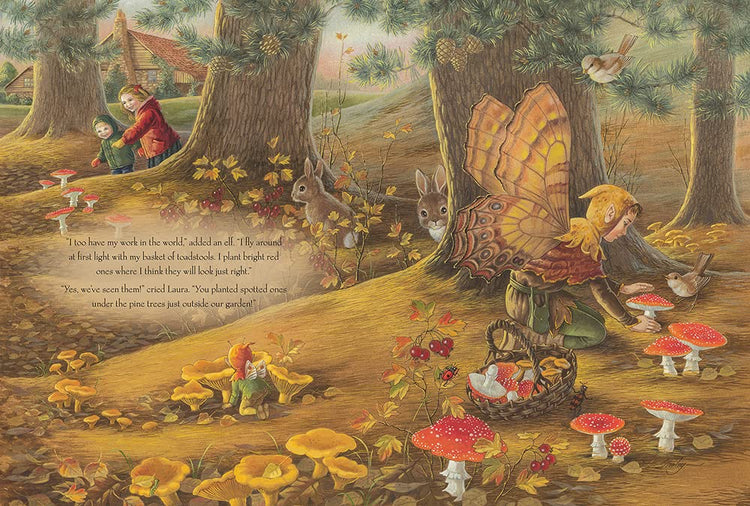 A VISIT TO FAIRYLAND (PAPERBACK) by SHIRLEY BARBER - The Playful Collective