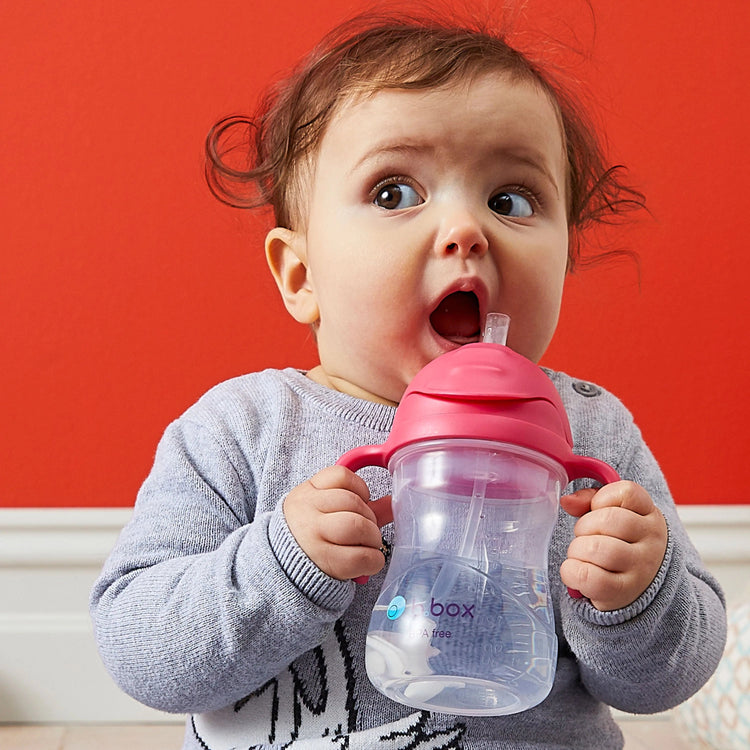 B.BOX SIPPY CUP Cobalt by B.BOX - The Playful Collective