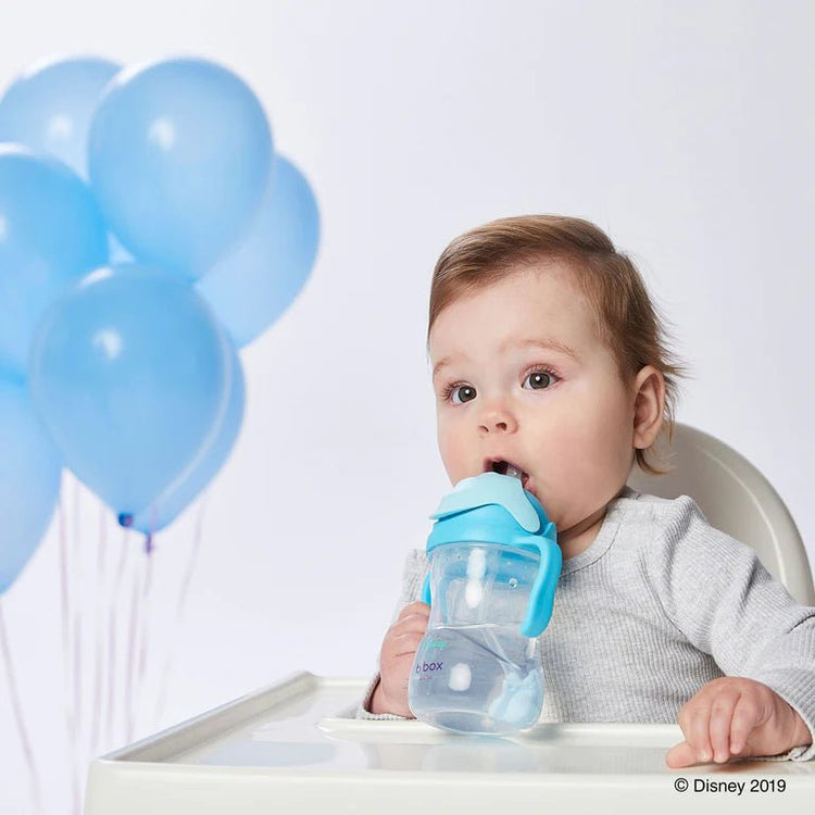 B.BOX SIPPY CUP Disney Elsa by B.BOX - The Playful Collective