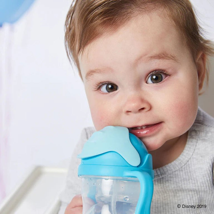 B.BOX SIPPY CUP Disney Elsa by B.BOX - The Playful Collective