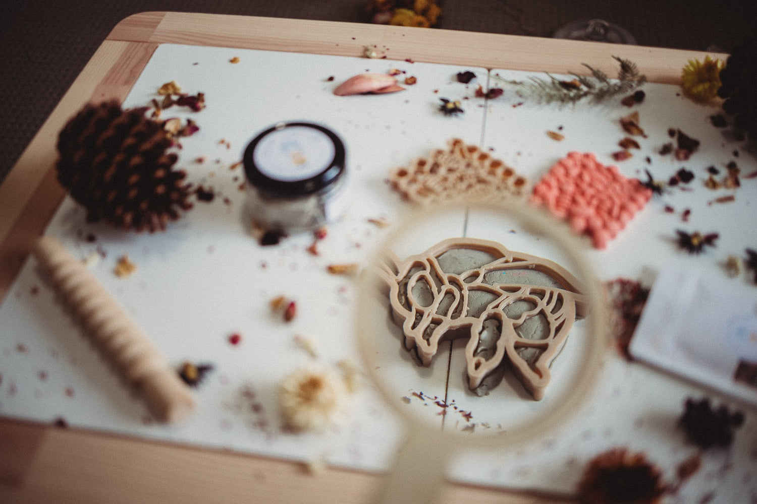 BEE + HONEY COMB ECO CUTTER SET PRE-ORDER by KINFOLK PANTRY - The Playful Collective