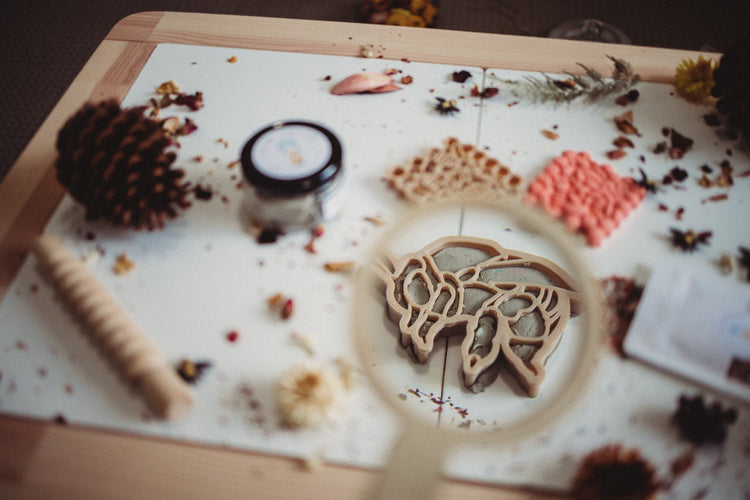 BEE + HONEY COMB ECO CUTTER SET PRE-ORDER by KINFOLK PANTRY - The Playful Collective