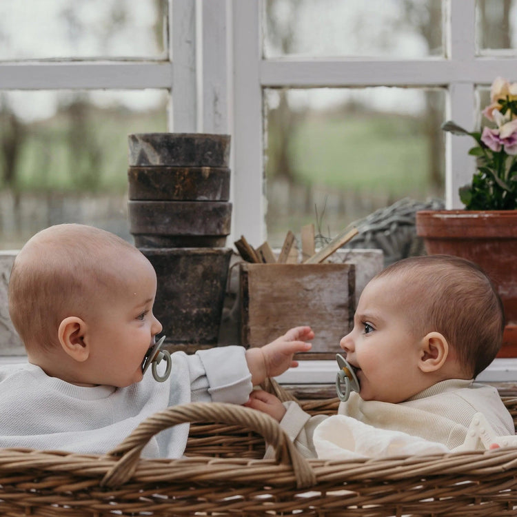 BIBS DUMMIES | COLOUR | SIZE 2 Blush by BIBS - The Playful Collective