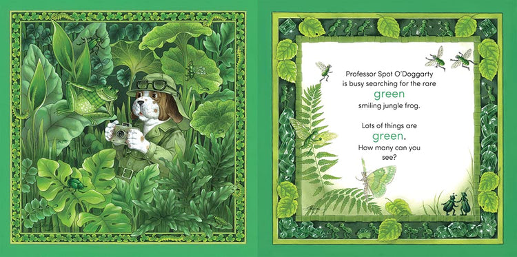 COLOUR WITH ME (BOARD BOOK) by SHIRLEY BARBER - The Playful Collective