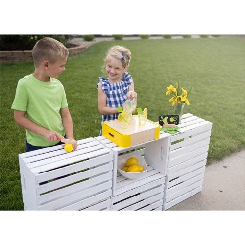 FAT BRAIN TOYS | PRETENDABLES LEMONADE TIME SET by FAT BRAIN TOYS - The Playful Collective