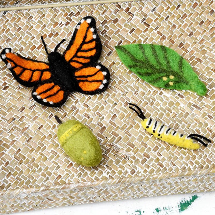 FELT LIFECYCLE OF A MONARCH BUTTERFLY by TARA TREASURES - The Playful Collective