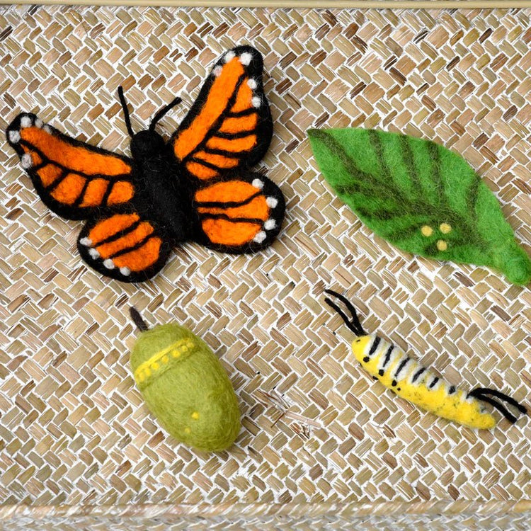 FELT LIFECYCLE OF A MONARCH BUTTERFLY by TARA TREASURES - The Playful Collective