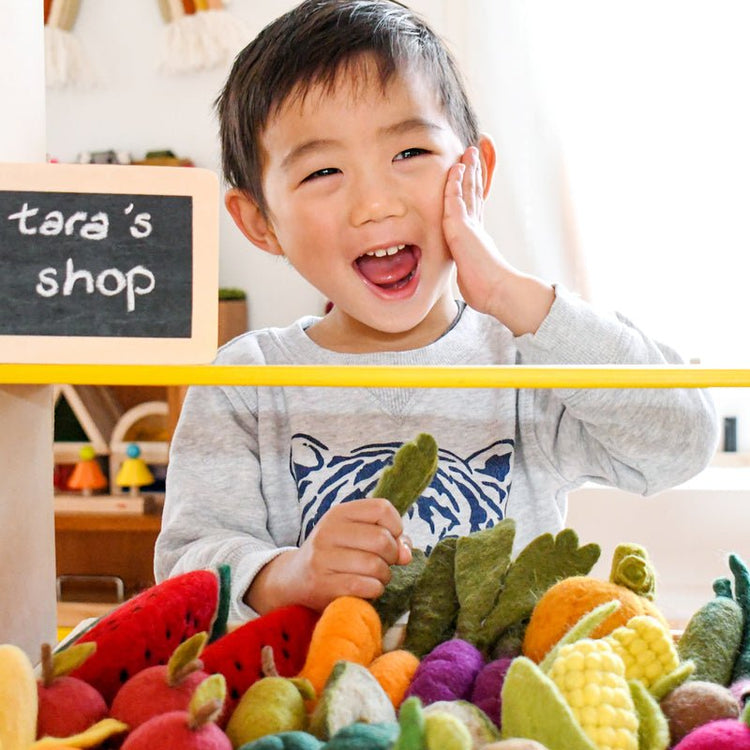 FELT VEGETABLES AND FRUITS - SET A (14 PIECES) by TARA TREASURES - The Playful Collective