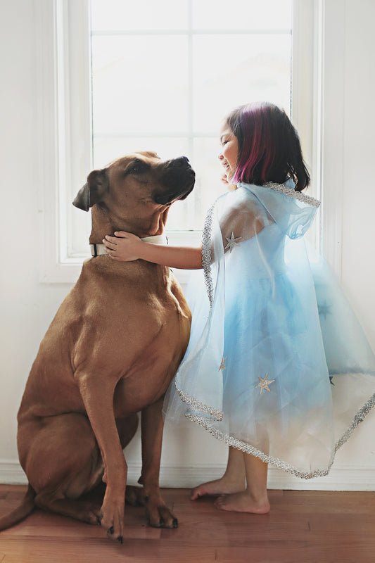 GREAT PRETENDERS | BLUE SEQUINS PRINCESS DRESS - SIZE 3-4 by GREAT PRETENDERS - The Playful Collective