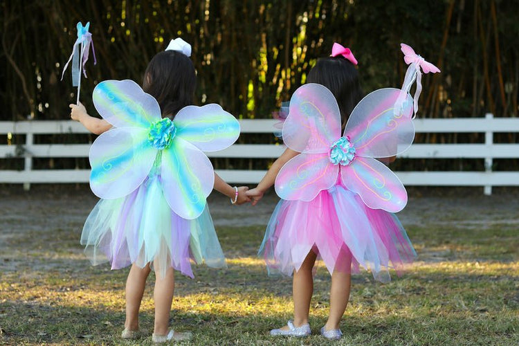 GREAT PRETENDERS | PINK BUTTERFLY DRESS WITH WINGS & WAND - SIZE 5-6 by GREAT PRETENDERS - The Playful Collective