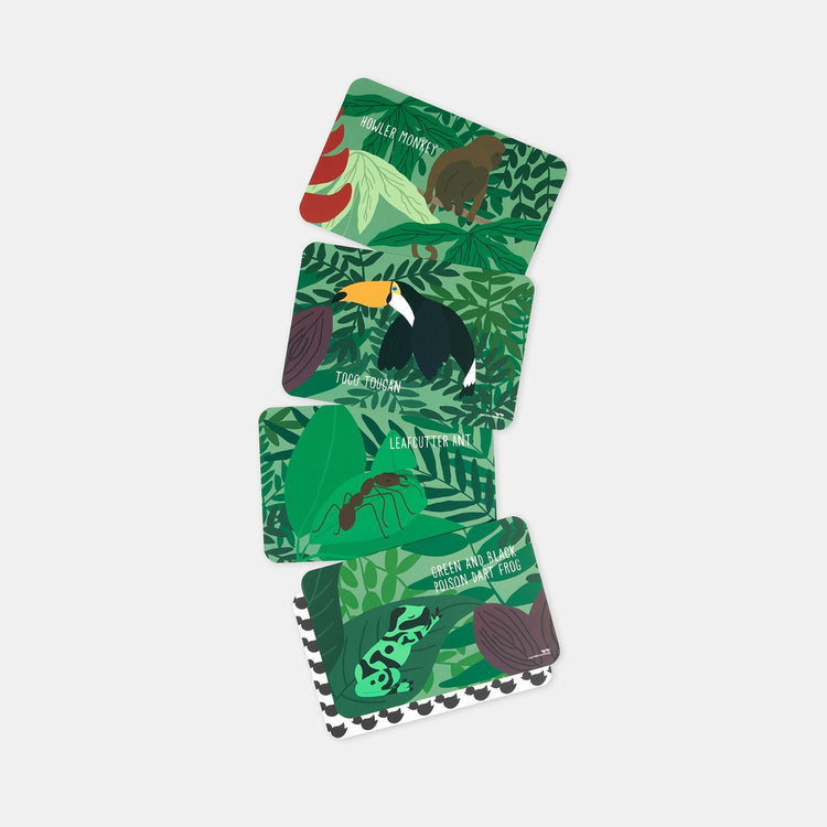 JUNGLE SNAP AND MEMORY GAME by TWO LITTLE DUCKLINGS - The Playful Collective