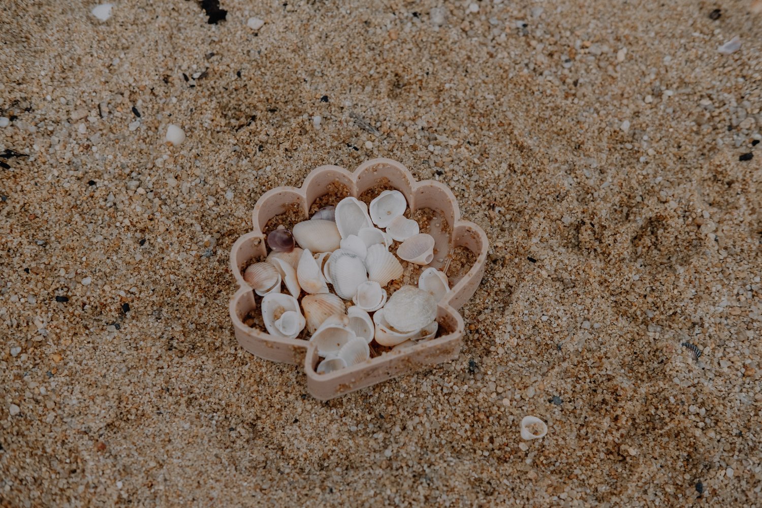KINFOLK PANTRY | SEA SHELL ECO MOULD by KINFOLK PANTRY - The Playful Collective