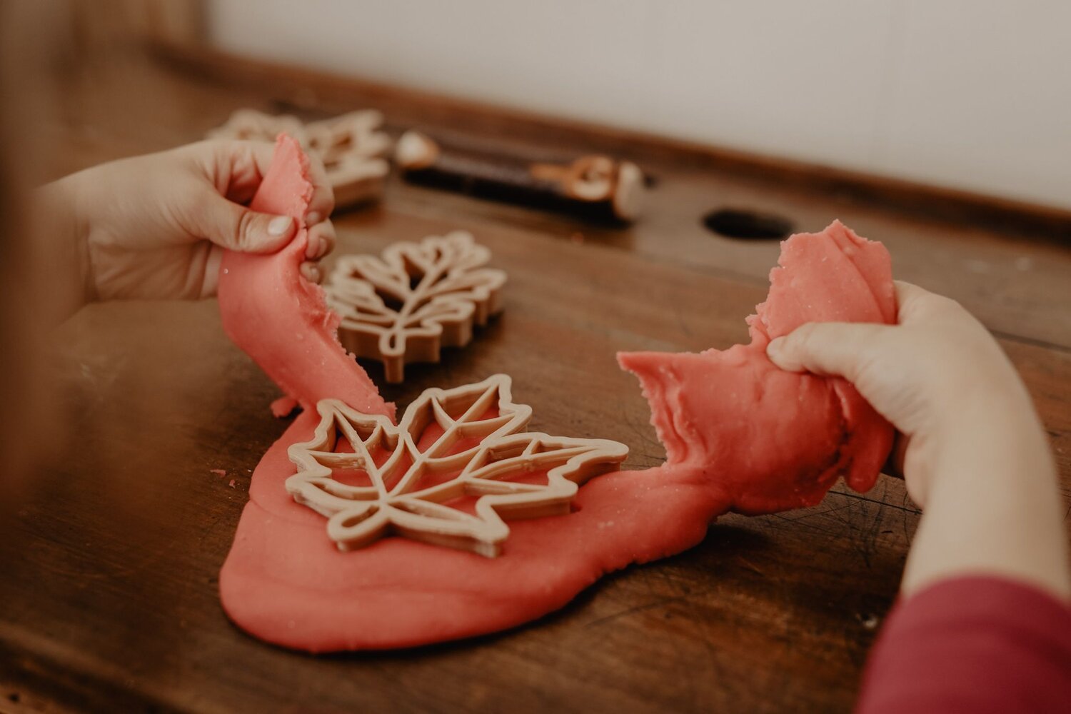 LEAF ECO CUTTER SET by KINFOLK PANTRY - The Playful Collective