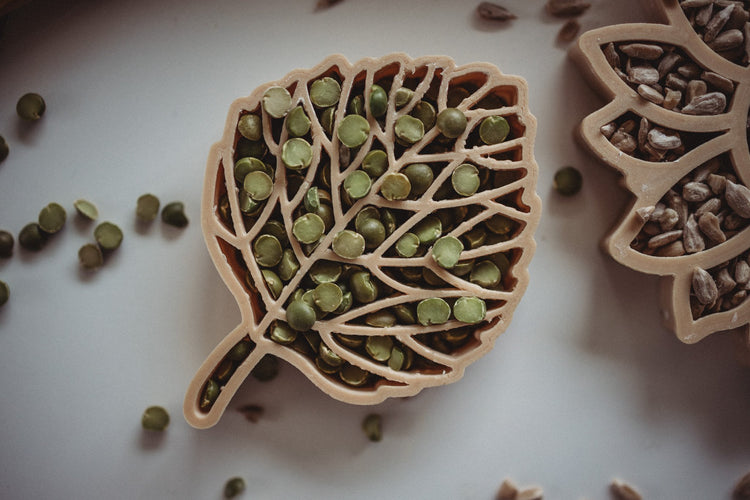 LEAF ECO CUTTER SET PRE-ORDER by KINFOLK PANTRY - The Playful Collective