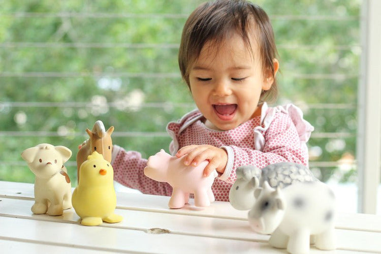 NATURAL RUBBER BABY RATTLE & BATH TOY - PIG by TIKIRI - The Playful Collective