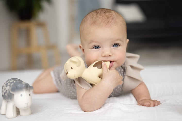 NATURAL RUBBER BABY RATTLE & BATH TOY - SHEEP by TIKIRI - The Playful Collective
