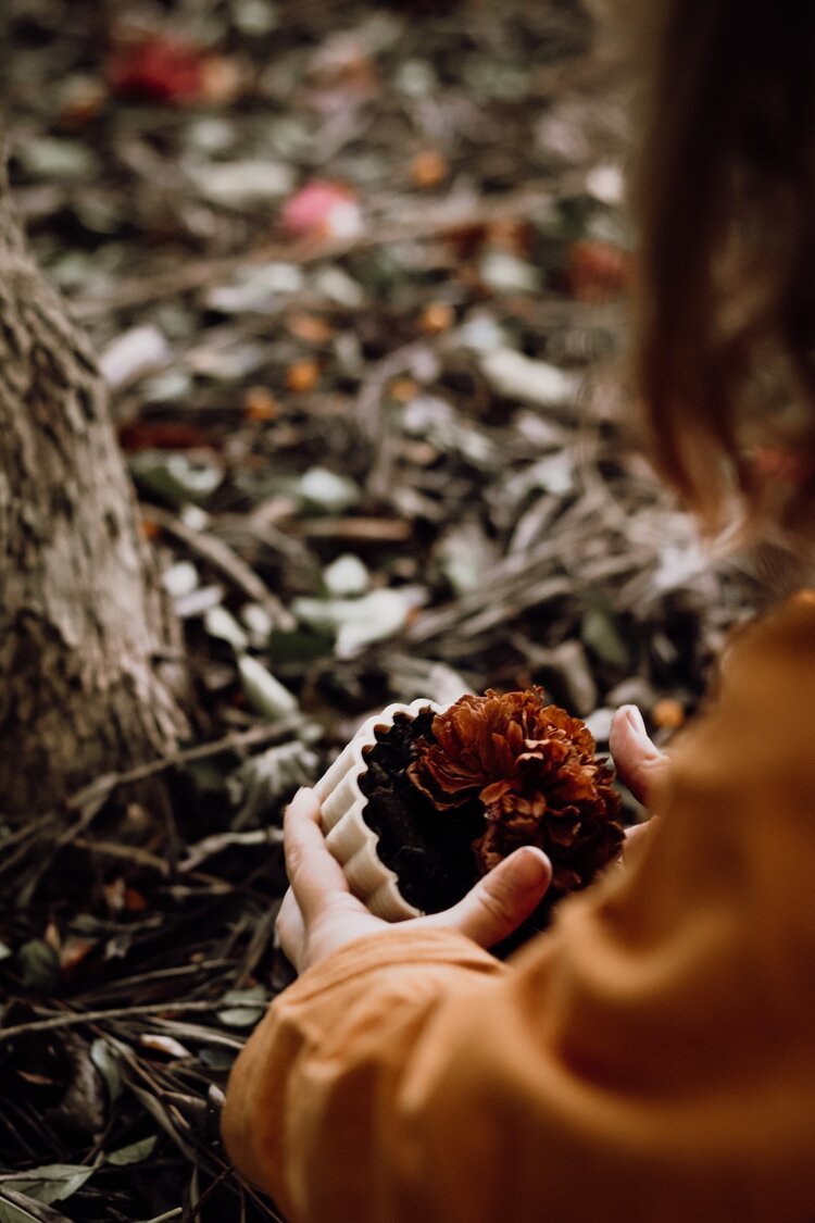 PLAY PIE ECO MOULD by KINFOLK PANTRY - The Playful Collective