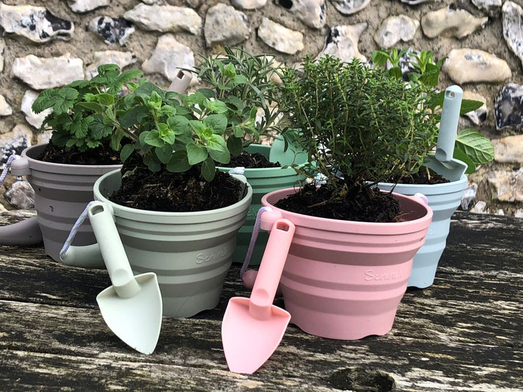 SCRUNCH SEEDLING POT + TROWEL Dusty Rose by SCRUNCH - The Playful Collective
