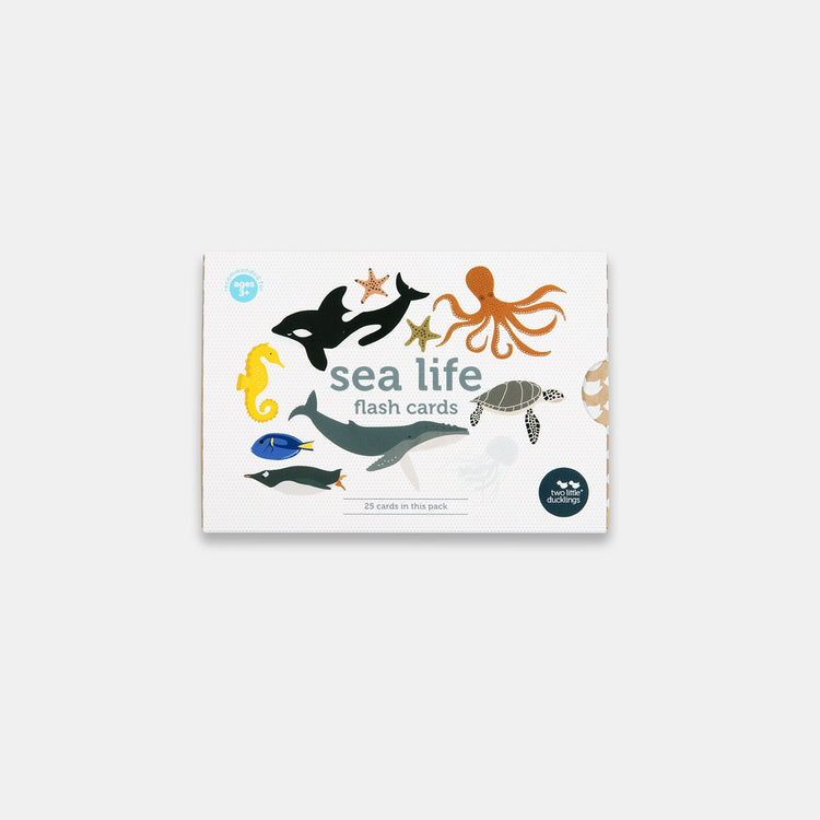 SEA LIFE FLASH CARDS by TWO LITTLE DUCKLINGS - The Playful Collective