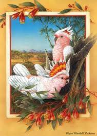 SHIRLEY BARBER | GREETING CARD - MAJOR MITCHELL COCKATOO by SHIRLEY BARBER - The Playful Collective